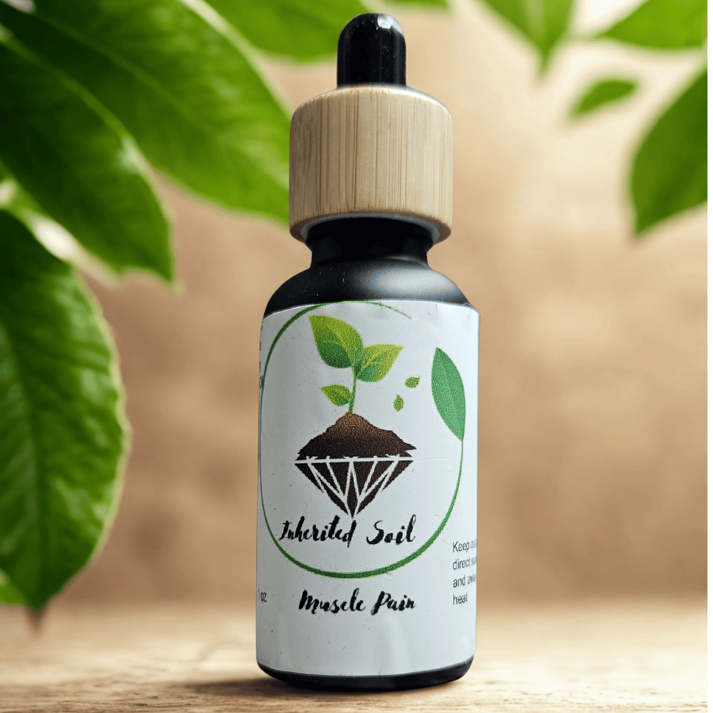 herbal pain relief oil applied to sore muscles, back, neck 